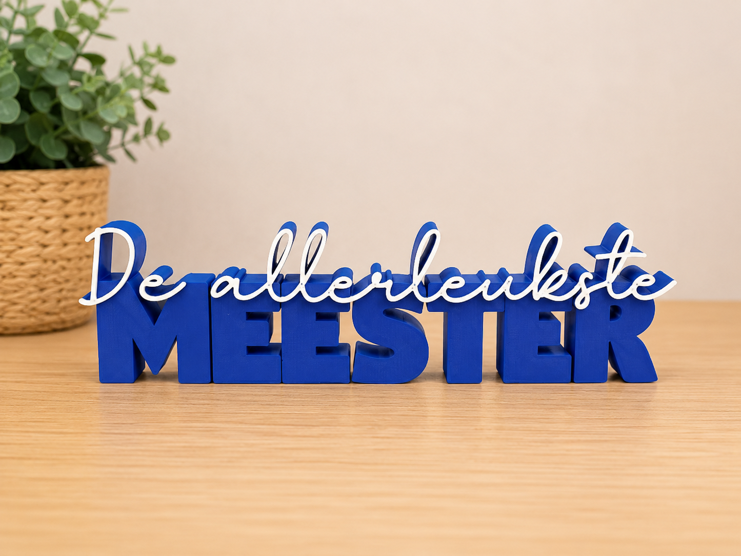 De allerleukste MEESTER