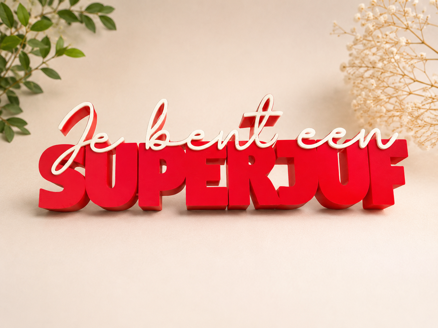 Je bent een Super Juf